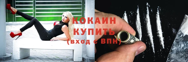 ПСИЛОЦИБИНОВЫЕ ГРИБЫ Вяземский
