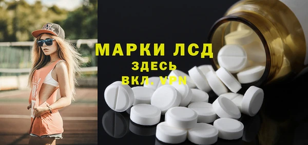ПСИЛОЦИБИНОВЫЕ ГРИБЫ Вяземский
