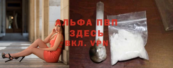ПСИЛОЦИБИНОВЫЕ ГРИБЫ Гусь-Хрустальный