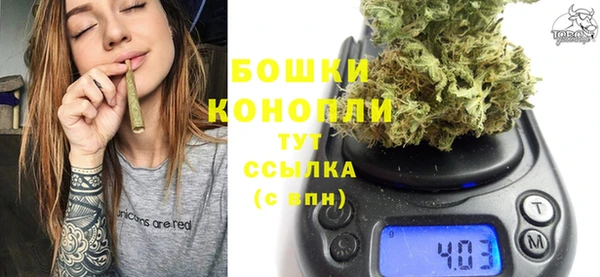 ПСИЛОЦИБИНОВЫЕ ГРИБЫ Гусь-Хрустальный