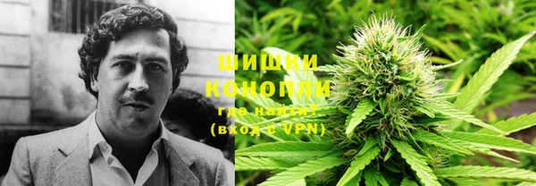 ПСИЛОЦИБИНОВЫЕ ГРИБЫ Вяземский