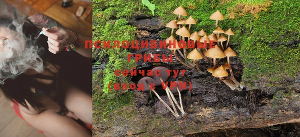твердый Вязники