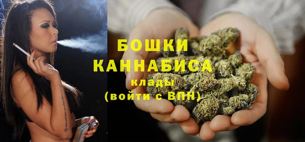 ПСИЛОЦИБИНОВЫЕ ГРИБЫ Вяземский
