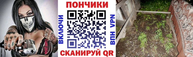 Бошки марихуана MAZAR Дальнегорск